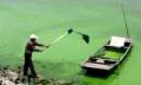 China pollutes water sources because of 'chemical dependence'