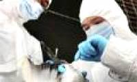 China successfully prepared the vaccine against H7N9