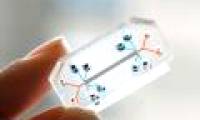 Chip organ simulation won the Design of the Year 2015 award
