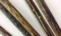 Chopsticks mold: Assassin causes cancer