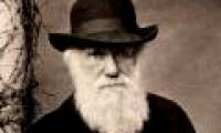 Clarification of Darwinism