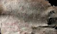 Clarify the content of the curse from 1,700 years ago