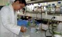 Clenbuterol contaminated meat detection kit