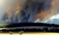 Climate change relayed to Australia's sea of ​​fire