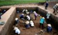 Close up of the exposed area '3,000-year grain grain' germinated