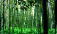 CO2 capture from the air is not feasible