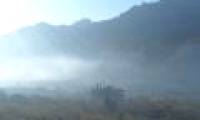Cold, damaging cold, north of the temperature down 5 degrees Celsius