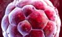 Controversy about technology to create perfect babies