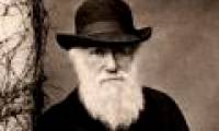 Controversy 'unique' about Evolutionary theory