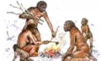 Cooking - an intense breakthrough of evolution