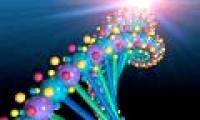 Cooperation in human genome research