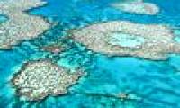 Coral reefs will die if seawater acidity does not decrease