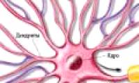 Create an internal cell communication mechanism via radio