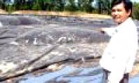 Create biogas from wheat starch plant waste water