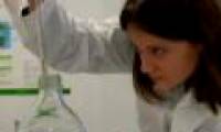 Create energy from algae