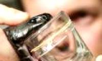 Create hydrogel from snake venom to stop bleeding in seconds