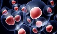 Creating human stem cells from chemical molecules