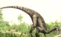 Crocodile hunting dinosaurs