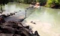Crocodile snatches bait from anglers on the river of death