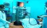 Cure rectal cancer without surgery