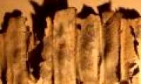 Curse in the talisman piece of 1800 years