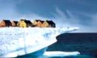 Dangerous climate change like HIV / AIDS