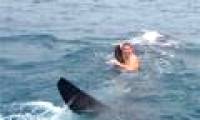 Daredevils turn sharks into yachts