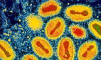 Deadly epidemic viruses once 'disappeared without a trace'