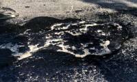 'Death' mucus has haunted Venezuela for 40 years