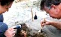 Decipher mysteriously 42 children's bones buried with llamas in Peru