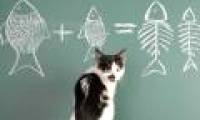 Decipher mystery: Is it true that cats like to eat fish?