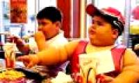 Decipher the cause of diabetes due to obesity