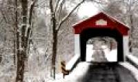 Decipher the mystery of the bridge that voices children in the middle of the night