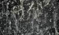 Decipher the mystery of