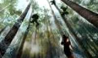 Decode mystical tactics thousands of obsessive people of Ninja