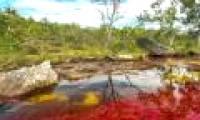 Decode strange natural phenomena that happen in autumn