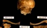Decode the mystery of a mass grave in Germany