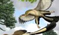 Decode the mystery of flying dinosaurs