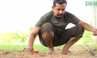 Decoding all body language helps experts 'hypnotize' extremely poisonous cobras