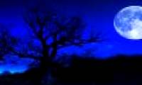 Decoding the curse of the 'July green moon' caused a tragedy?