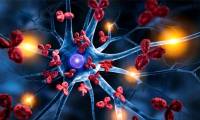 'Decoding' the origin of multiple sclerosis