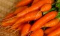 Delicious mini carrot cultivation at home