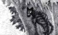 Demons - mystical creatures disturbing mountain forests