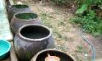 Dengue fever increases due to water tanks