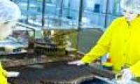Depletion of antibiotics: Pharmaceutical companies turn their research programs in turn