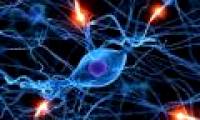 Deploy cell therapy in cancer treatment