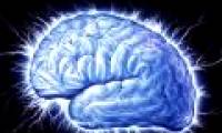 Detect the cortex to control guilt