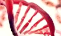 Detect the second layer of information hidden in DNA