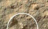 Detect tremors: Flowers bloom on Mars?