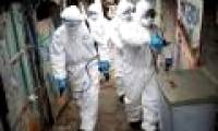Detected corona virus evolved into 2 different strains